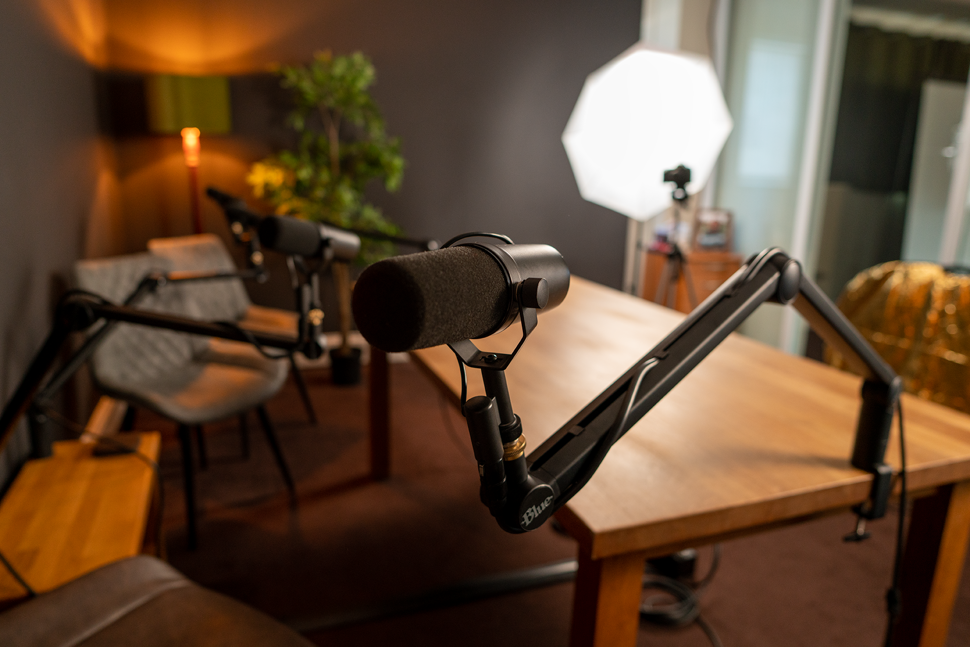 Sound-treated podcast room with studio lighting